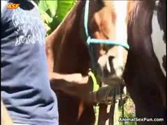 Horse cock is blown by an amateur wife in front of her husband.